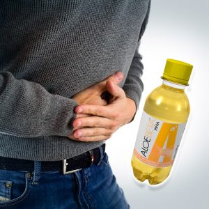 Sistema Digestivo