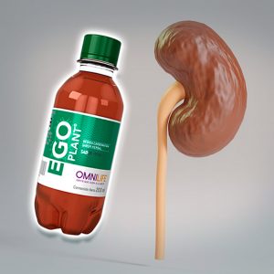 Sistema Renal